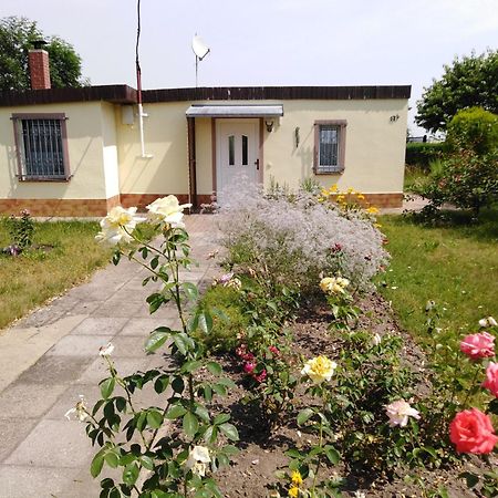 Ferienhaus Kaiserfelder Olbersdorf Dış mekan fotoğraf